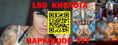 шишки Жуковский