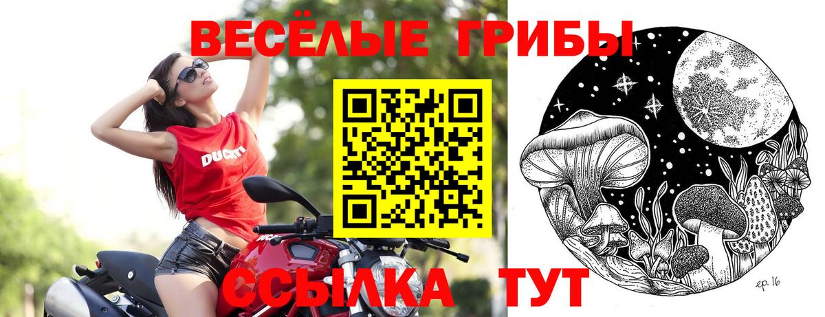Галлюциногенные грибы Magic Shrooms  Вход с VPN  Валуйки 