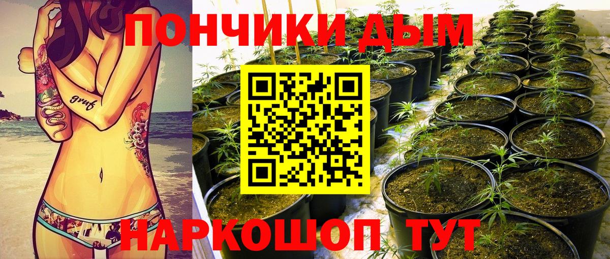 Валуйки  Канабис планчик  Канабис гибрид  Вход с VPN 